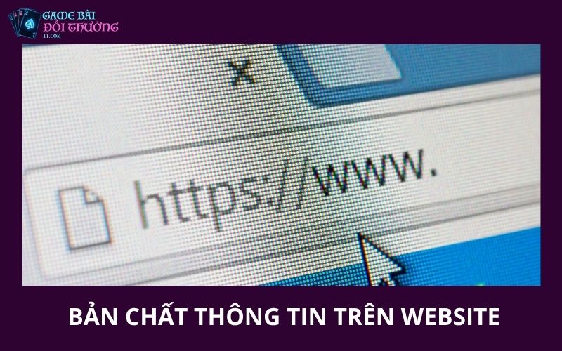 Bản chất thông tin trên website