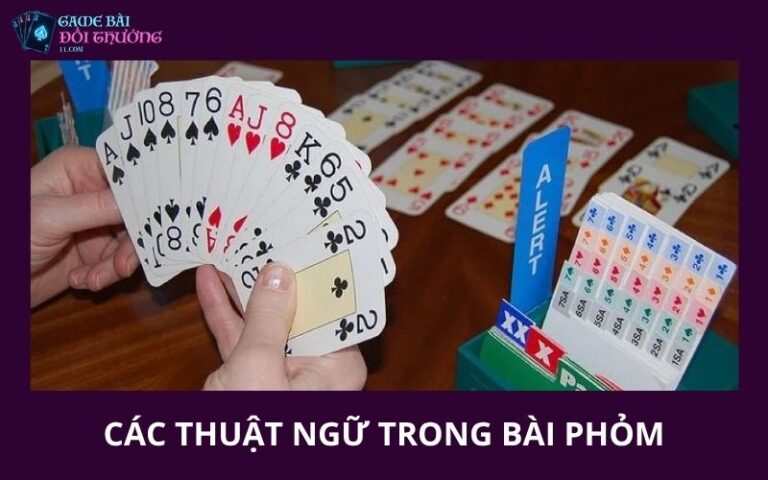 Tong Hop Cac Thuat Ngu Trong Bai Phom Can Biet